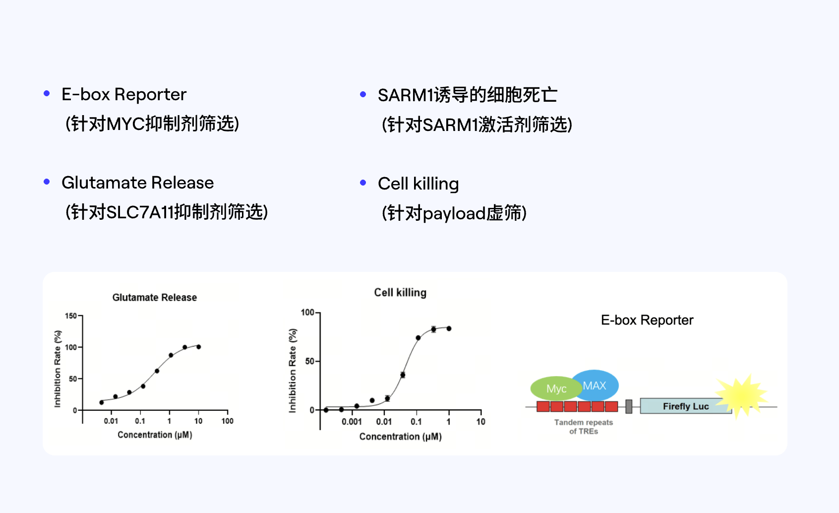 Image for 靶点虚筛 SAR assay